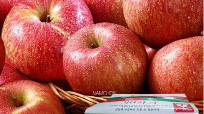 6시내고향 군위사과 꿀팁! 착즙주스부터 파이까지 후기大방출🍎